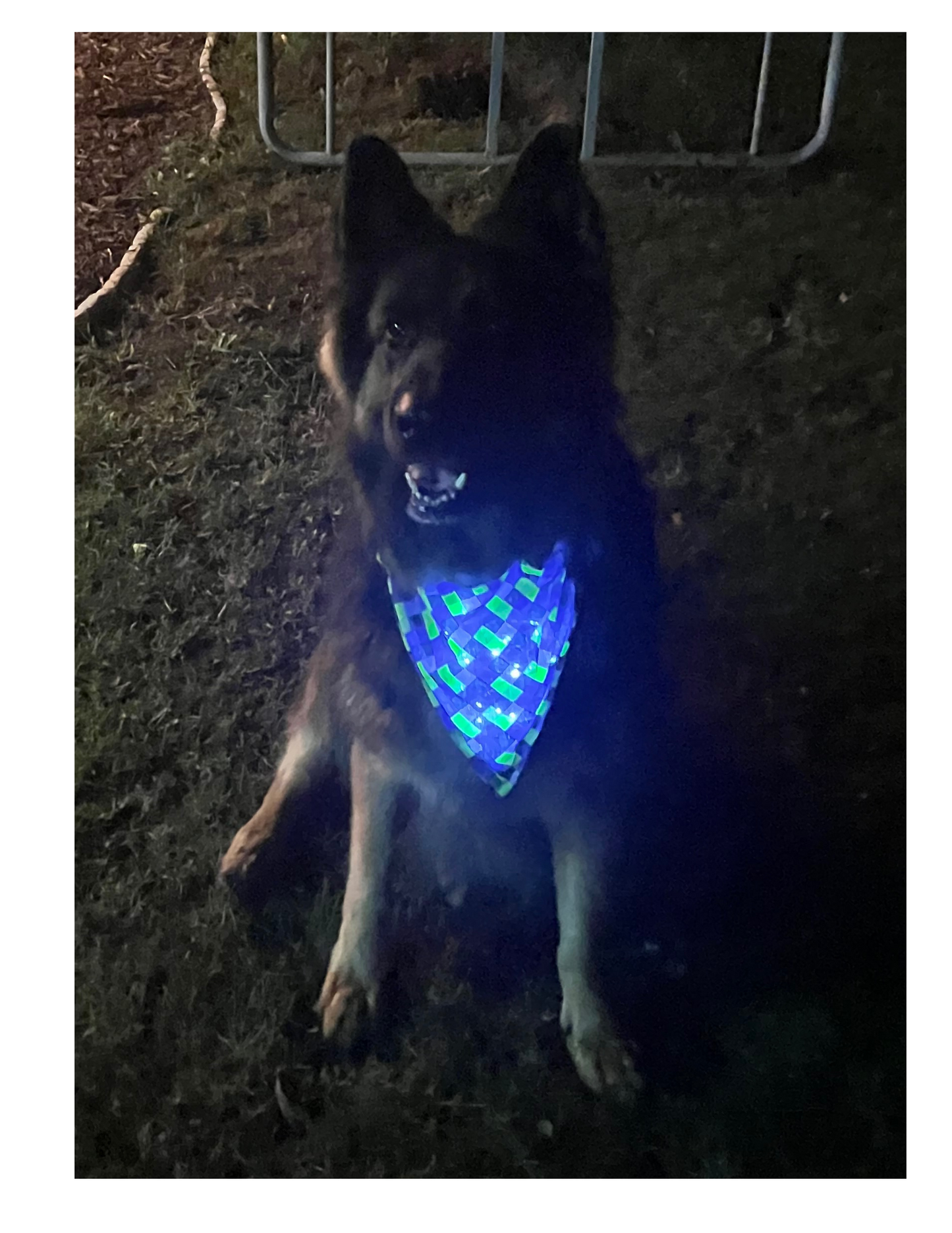 🎃👻 Light Up  Halloween  Handmade Pup Bandanna! 🐾