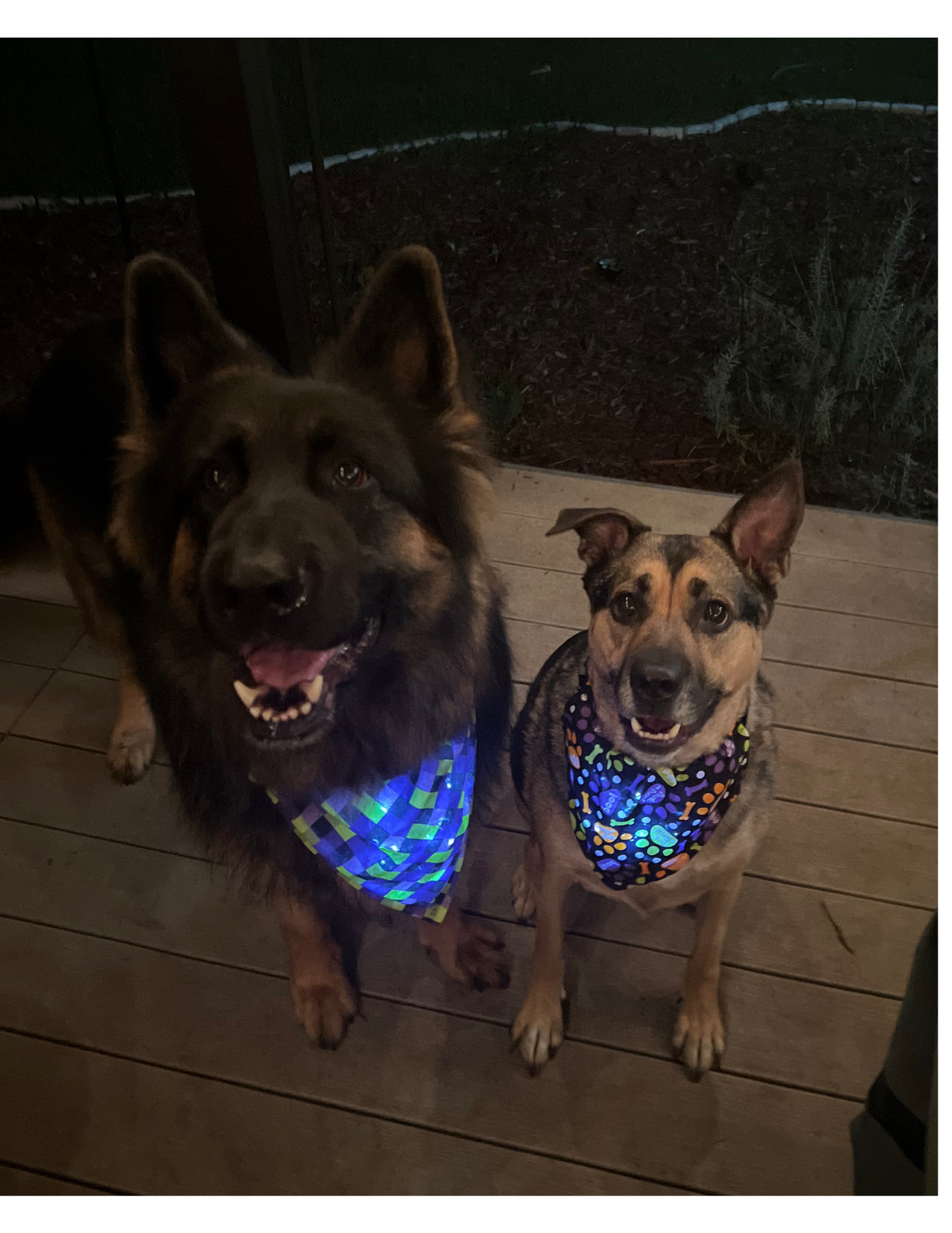 🎃👻 Light Up  Halloween  Handmade Pup Bandanna! 🐾