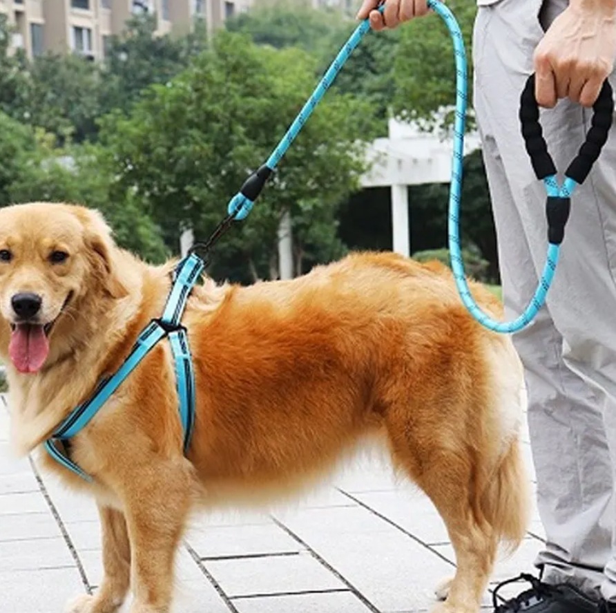 Reflective Dog Leash